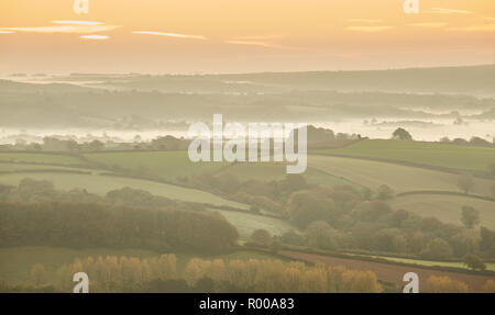 À la recherche du haut de la colline de plume Pilsdon dans Dorset à des pâturages, des champs verts et de la brume au lever du soleil Banque D'Images