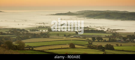 À la recherche du haut de la colline de plume Pilsdon dans Dorset à des pâturages, des champs verts et de la brume au lever du soleil Banque D'Images