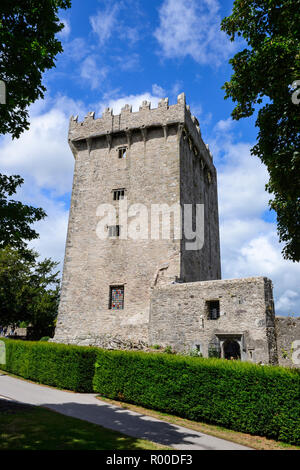 Le château de Blarney et Jardins, près de Cork, dans le comté de Cork, en République d'Irlande Banque D'Images