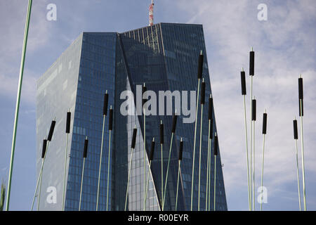 Windhalme Flußwind Klimaroute, Installation, der Stadt Frankfurt, Hafenpark, vor dem Neubau der Europäischen Zentralbank, EZB, Francfort, Banque D'Images