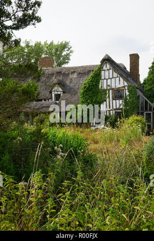 Tuthill Manor, Therfield, Hertfordshire Banque D'Images