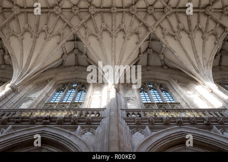 Winchester UK. Détail du plafond de la cathédrale de Winchester, Hampshire. Banque D'Images