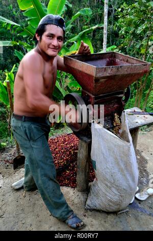 Machine à pâte- de la récolte du café à la frontière de l'Equateur - ZUNGA -San Ignacio- département de Cajamarca au Pérou. Banque D'Images