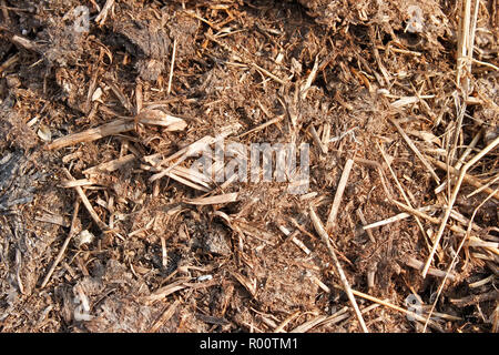 Fragment du tas de compost. L'engrais organique de haute qualité Banque D'Images