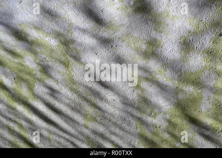 Plutôt abstract image de l'eau ondes reflétées dans une courbe de la surface de béton écrémé tunnel à côté d'une rivière. B&W versions disponibles. Effet d'entraînement. Banque D'Images