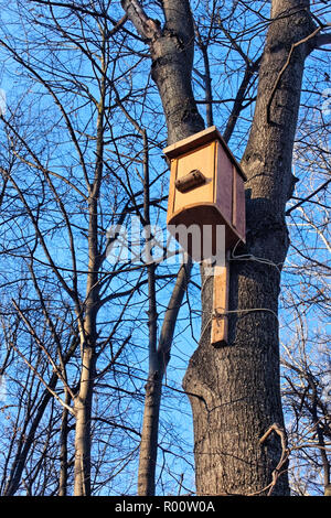 Maison d'oiseau accroché sur le tronc d'un arbre. Début de l'hiver Banque D'Images