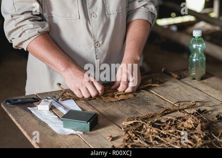 Un cultivateur de tabac montre à un groupe de touristes comment les cigares cubains sont fabriqués. Banque D'Images