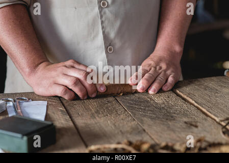 Un cultivateur de tabac montre à un groupe de touristes comment les cigares cubains sont fabriqués. Banque D'Images