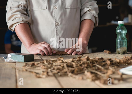 Un cultivateur de tabac montre à un groupe de touristes comment les cigares cubains sont fabriqués. Banque D'Images