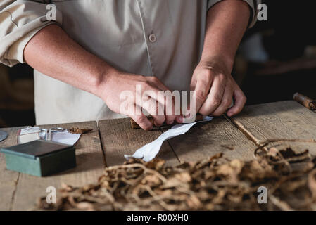 Un cultivateur de tabac montre à un groupe de touristes comment les cigares cubains sont fabriqués. Banque D'Images