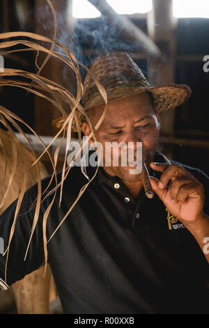 Un homme fume un cigare Montecristo roulés fraîchement sur une ferme de tabac à Viñales, Cuba. Banque D'Images