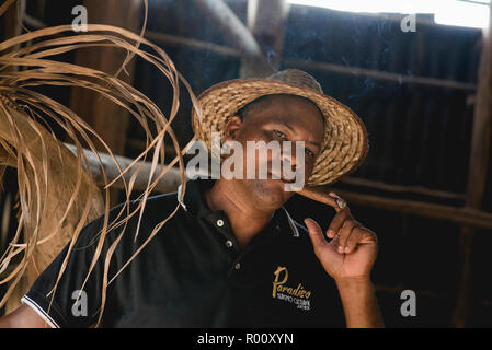 Un homme fume un cigare Montecristo roulés fraîchement sur une ferme de tabac à Viñales, Cuba. Banque D'Images