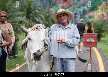 Un fermier local et son bœuf posent pour une photo devant mural de la Prehistorica à Viñales, Cuba. Banque D'Images