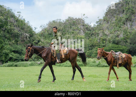 Un homme cubain et ses chevaux ont trot devant la murale colorée de la Prehistorica à Cuba. Banque D'Images