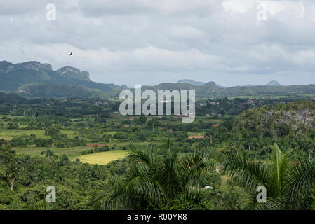 Vues des mogotes et la Vallée de Viñales à Cuba. Banque D'Images