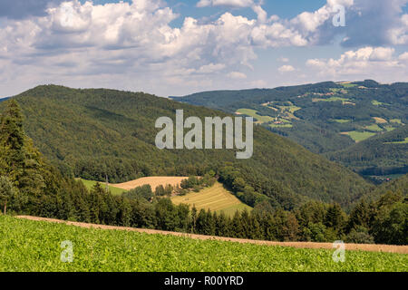 D'été en milieu rural paysage panoramique couleur de l'image idyllique d'une campagne agricole avec peu de nuages dans le ciel et une descente sur les champs, forest Banque D'Images