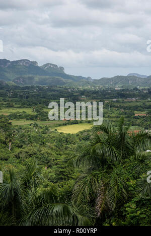 Vues des mogotes et la Vallée de Viñales à Cuba. Banque D'Images