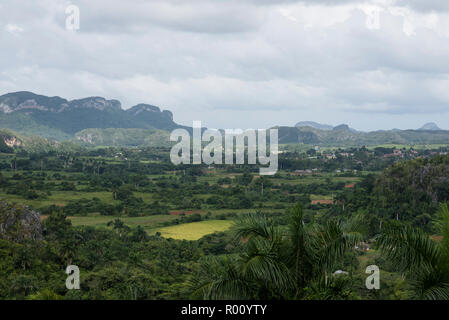 Vues des mogotes et la Vallée de Viñales à Cuba. Banque D'Images