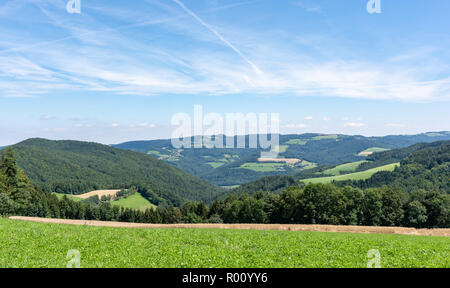 D'été en milieu rural paysage panoramique couleur de l'image idyllique d'une campagne agricole avec peu de nuages dans le ciel et une descente sur les champs, forest Banque D'Images