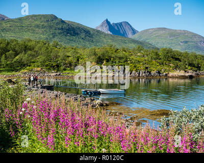 Stønnesbotn Fjordbotn fjord, vue du camping de montagne, les touristes du poisson pêché à proximité de la poignée d'un bateau de pêche, Senja, Troms, Norvège Banque D'Images