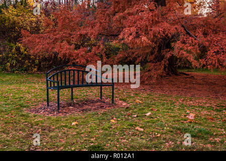 Décor de l'automne à l'Arboretum Finch, Spokane, Washington, USA Banque D'Images