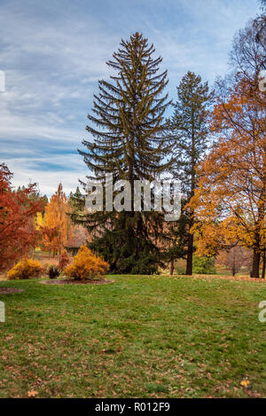 Décor de l'automne à l'Arboretum Finch, Spokane, Washington, USA Banque D'Images