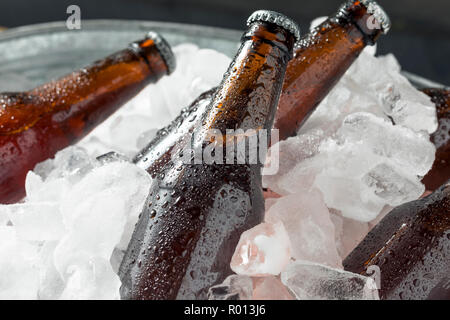 Les bouteilles de bière glacée froid dans une glacière avec de la glace Banque D'Images