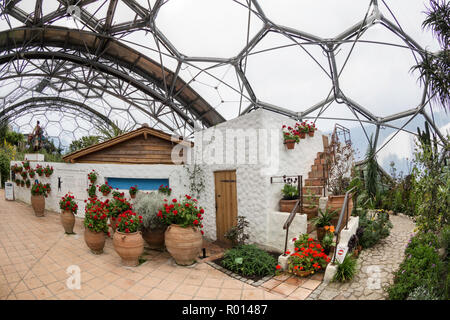 À l'intérieur de la Méditerranée au biome attraction touristique populaire l'Eden Project, Fohey, Cornwall, Angleterre. Banque D'Images