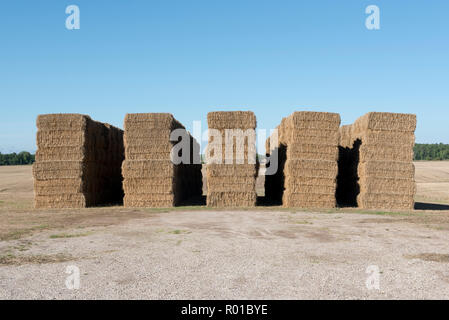 La récolte de foin de l'été dans le sud de l'Ontario. Les balles de foin carrés superposés attendent d'être prises pour la ferme. Banque D'Images