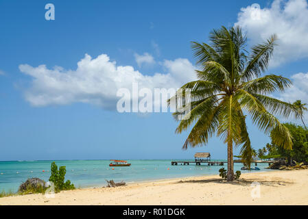 Plage de Pigeon Point Heritage Park sur l'île de Tobago, Trinité-et-Tobago. Banque D'Images