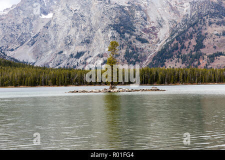 Leigh Lake Mystic Isle Banque D'Images