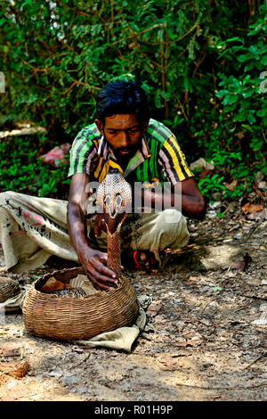 Charmeur de serpent avec les Indiens (Naja naja) en face de la roche temple de Dambulla, Sri Lanka Banque D'Images