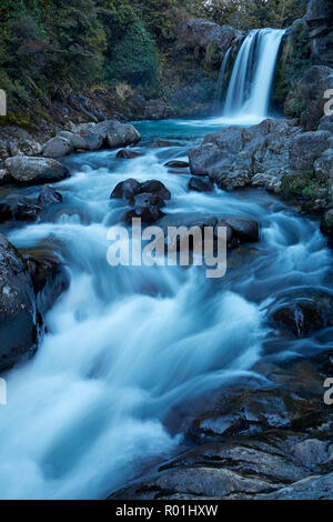 Whakapapanui Tawhai Falls, ruisseau, parc national de Tongariro, Central Plateau, North Island, New Zealand Banque D'Images