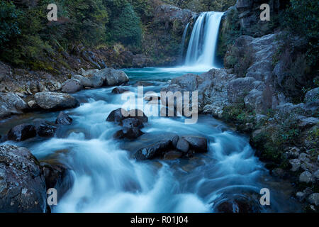 Whakapapanui Tawhai Falls, ruisseau, parc national de Tongariro, Central Plateau, North Island, New Zealand Banque D'Images