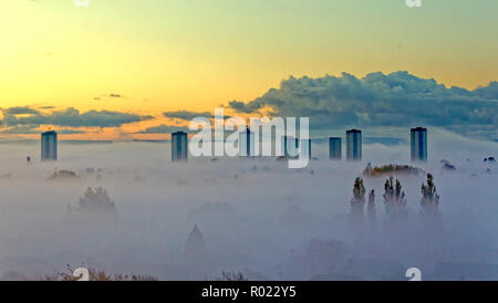 Glasgow, Ecosse, Royaume-Uni. 1er novembre 2018. Météo Royaume-uni début de matinée givrée donne à un épais brouillard au-dessus de la ville et seuls les tours Scotstoun et le toit sont visibles comme la ville disparaît sous une mer de brouillard. Credit : Gérard ferry/Alamy Live News Banque D'Images