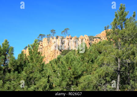 Falaises de Colle Rousse, le Blavet, Var, 83, PACA Banque D'Images