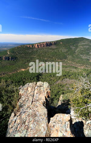 Falaises de Colle Rousse, le Blavet, Var, 83, PACA Banque D'Images