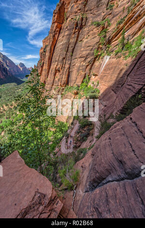 Recherche le long de la vallée à l'Angels Landing Trail dans le parc national de Zion. Banque D'Images