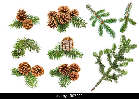 Jeu de pommes de pin et branches de noël isolé sur fond blanc Banque D'Images