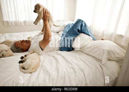 L'homme joue avec les chiots sur lit. Banque D'Images