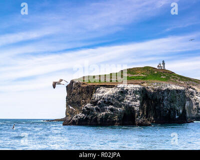 Channel Islands National Park Banque D'Images