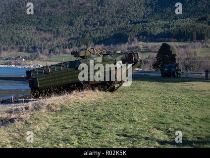 Les Marines américains avec la 24e Marine Expeditionary Unit effectuer un débarquement amphibie dans les véhicules amphibies d'assaut au cours de l'exercice Trident stade 18 dans Alvund, la Norvège, le 30 octobre 2018. Stade Trident 18 améliore les États-Unis et ses alliés de l'Otan et partenaires capacité à travailler ensemble collectivement pour mener des opérations militaires dans des conditions difficiles. (U.S. Photo par marine Spécialiste de la communication de masse 2e classe Deanna C. Gonzales/libérés) Banque D'Images