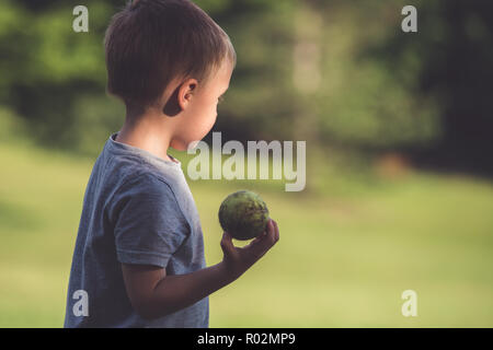 Portrait of a young woman standing in a park et petits balle de tennis d'être déclenchée pour un chien de chasse Banque D'Images