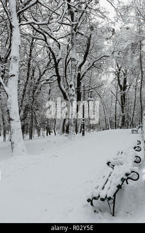 Beau couvert d'hiver matin Ivan Franko Park dans le centre-ville de Lviv, Ukraine. Banque D'Images