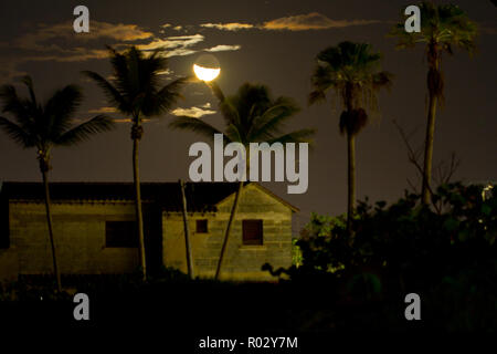 Varadero,une superbe destination beach resort, couvrant l'étroite péninsule Hicacos Cuba, est une station balnéaire très populaire de la ville. Banque D'Images