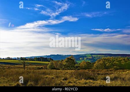 Ciel bleu penser et moment dans un pré, Longshaw Grindleford Banque D'Images