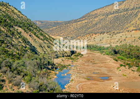 Ankrime Tamzergourte à voir dans la partie inférieure de l'Atlas au nord d'Agadir, Maroc, Souss-Massa. Banque D'Images