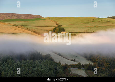 Brume d'automne traîner autour de Crook Hill près de Ladybower reservoir dans le parc national de Peak District, Derbyshire, Angleterre. Banque D'Images