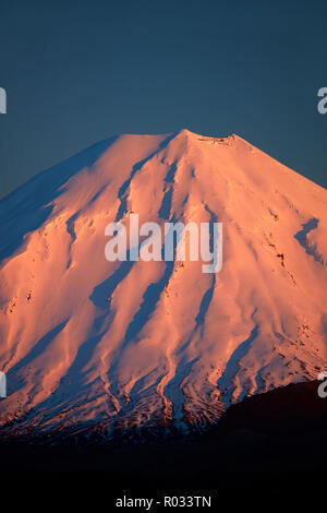 Alpenglow sur Mt Ngauruhoe à l'aube, Parc National de Tongariro, Central Plateau, North Island, New Zealand Banque D'Images