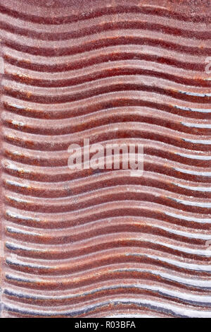 Old rusty metal bordage comme texture Banque D'Images